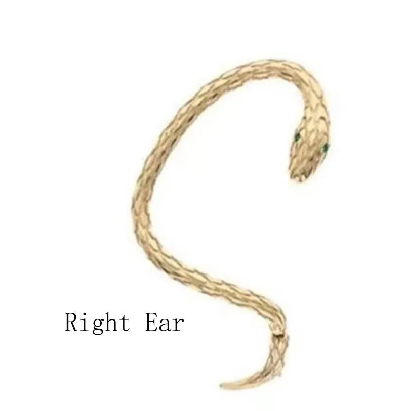 Small Snake Winding Earrings Female Vintage Creative Tide Male Couples Niche Design Sense