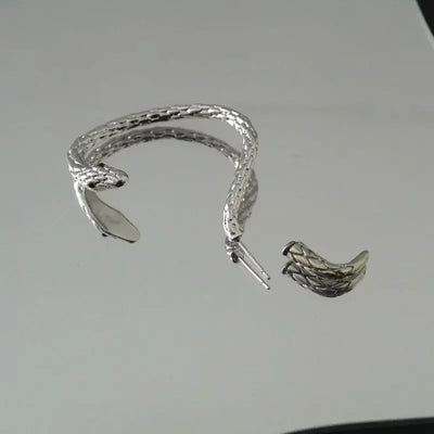 Small Snake Winding Earrings Female Vintage Creative Tide Male Couples Niche Design Sense